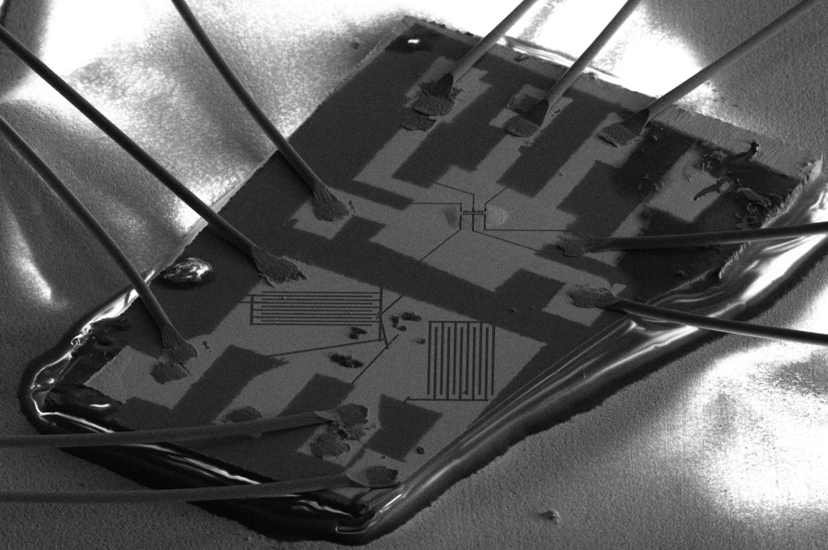 Scanning electron micrograph of a wire-bonded CoNbSe2 device: a lithographically patterned chip held in epoxy, with bond wires running out to contact pads around its edge.